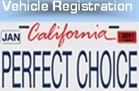 PERFECT CHOICE INSURANCE SERVICES